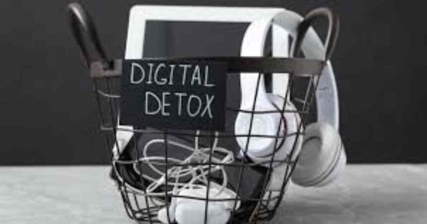 Digital Detox Trend Gains Momentum Among Young Professionals