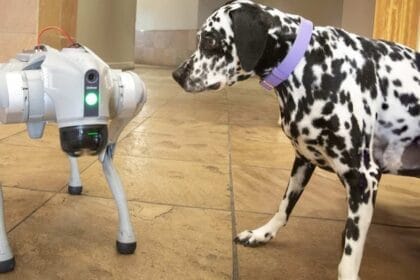 ASU College Creates AI Robodog for Rescue and Accessibility