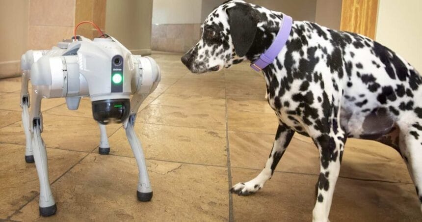 ASU College Creates AI Robodog for Rescue and Accessibility