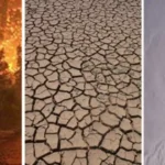 Climate Change Responsibility Debate Heats Up Globally