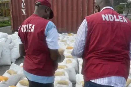 NDLEA Busts Billion Naira Drug Cartel Across Continents