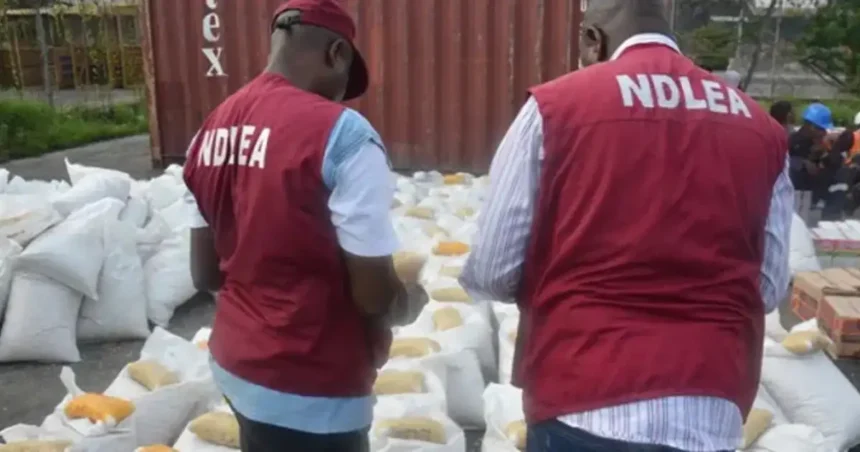NDLEA Busts Billion Naira Drug Cartel Across Continents