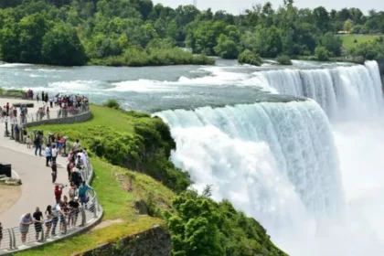 Niagara Falls Grants Drive Growth