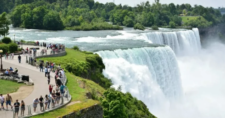 Niagara Falls Grants Drive Growth