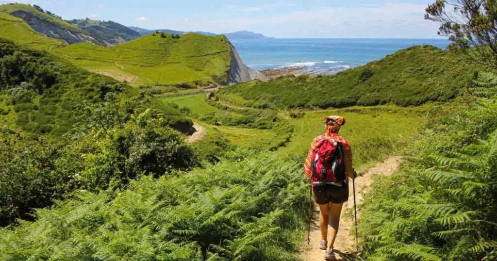 The Cool Camino Why Hikers Are Choosing Norway Over Spain