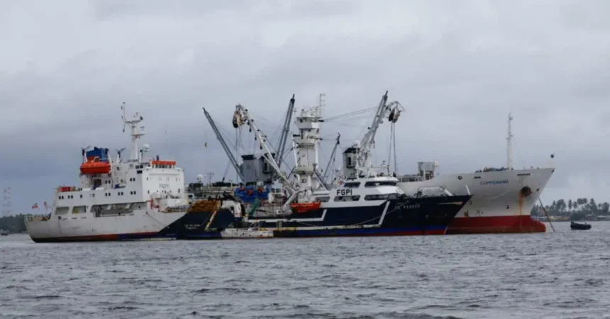 WTO overfishing agreement protects oceans and curbs harmful subsidies