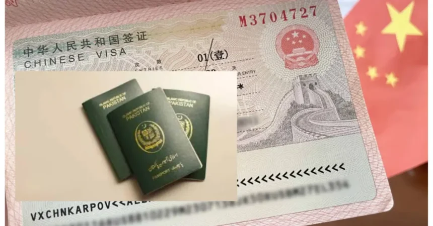 China K Visa STEM Talent