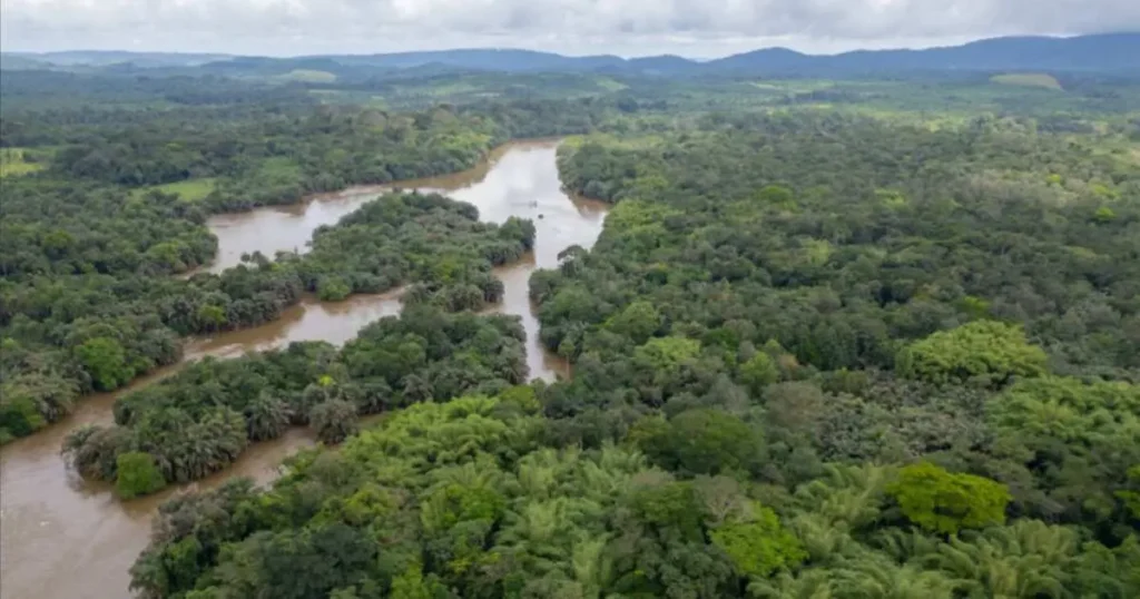 Tiwai Island Sierra Leone gets UNESCO status