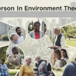 Person in Environment Theory Social Work