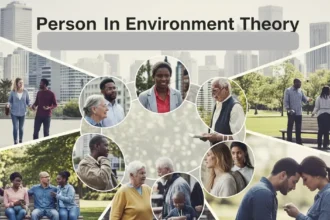 Person in Environment Theory Social Work