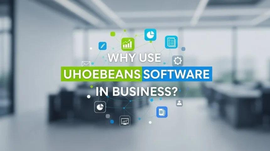 Uhoebeans Software: Why Businesses Should Use It Today